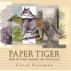 Paper Tiger