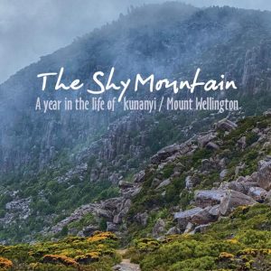 The Shy Mountain