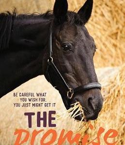 The Promise Horse