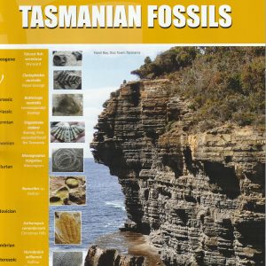 Peter Manchester’s Guide to Tasmanian Fossils