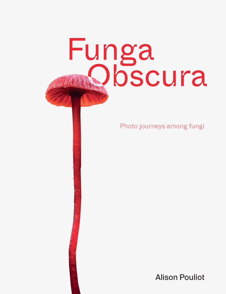 funga obscura alison pouliot